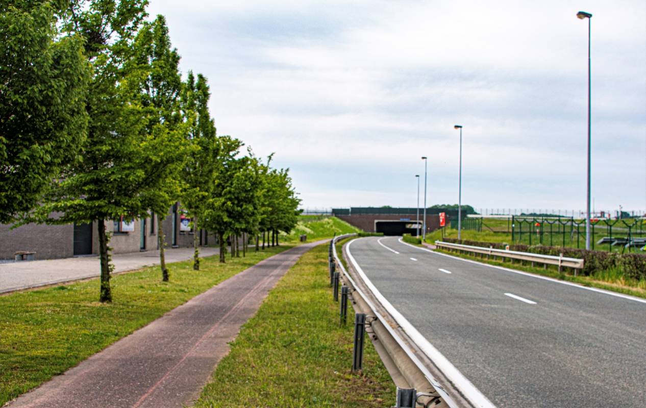 Publicaties